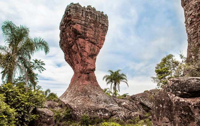 Viagens Culturais e Educacionais