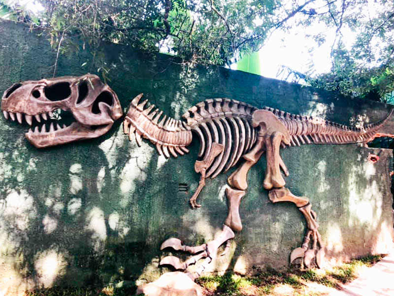 AKbrasil Parque dos  Dinossauros