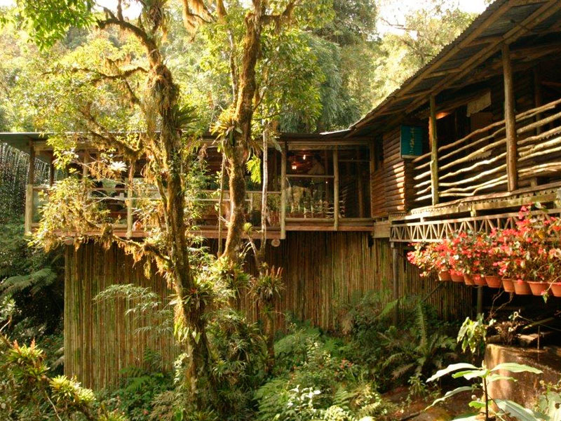 AKbrasil Paraíso das Trutas 