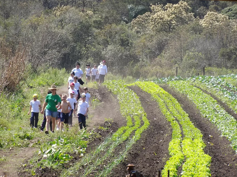 AKbrasil Rancho Caminho das Águas