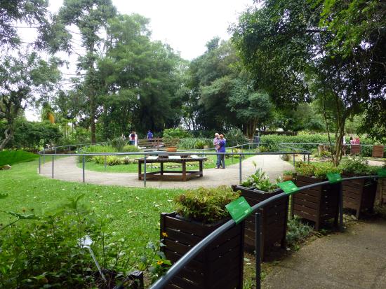 AKbrasil Jardim Botânico Trilha dos Sentidos